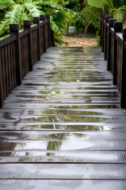 Wooden walkway clipart