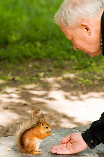 Man and squirrel — Stock Photo, Image