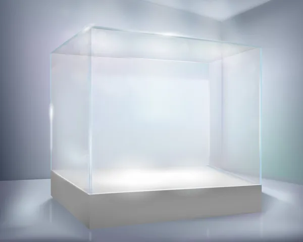 ガラスのケース。ベクトル イラスト. — ストックベクタ
