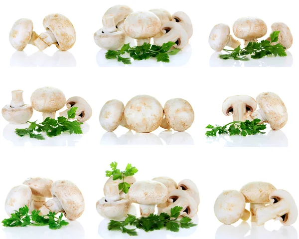 香菇和欧芹 — 图库照片