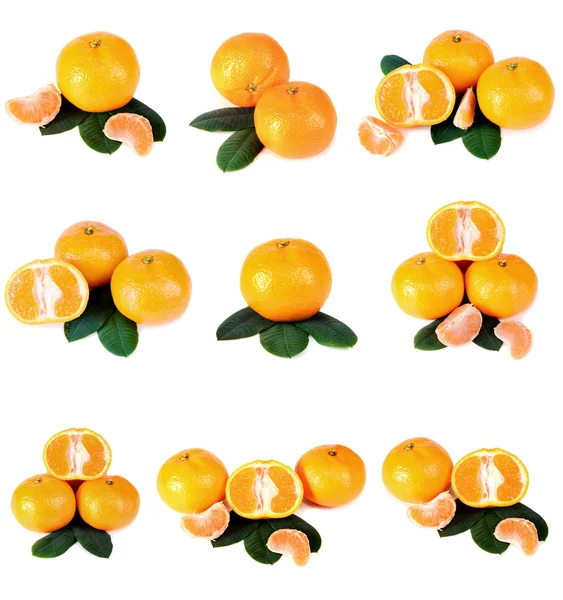 Tangerine med grønne blade - Stock-foto