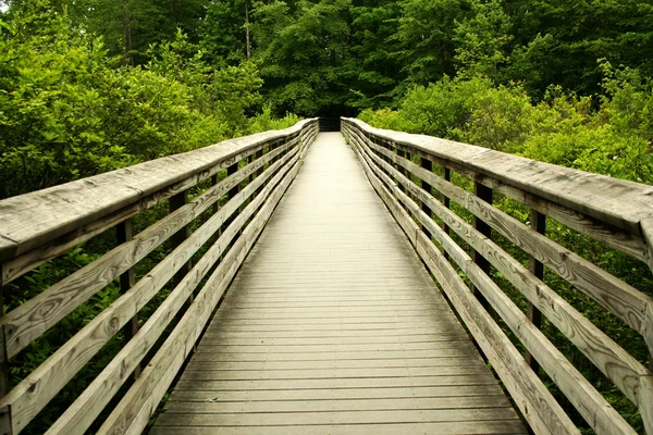 Houten brug door het bos — Stockfoto
