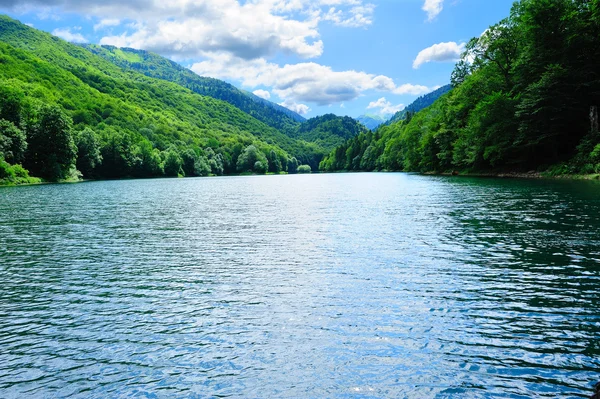 明るい日当たりの良い森の湖 — ストック写真