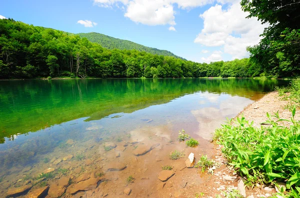 stock image Picturesque lake in the park