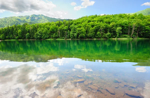 Paesaggio pittoresco con lago foresta — Foto Stock