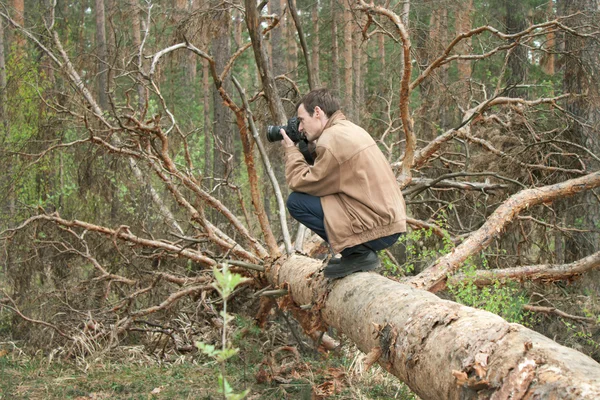 Muž sedí na padlý strom — Stock fotografie