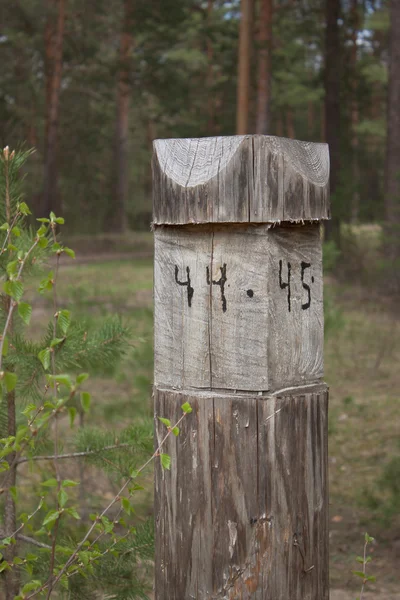 A pillar at the intersection of firebreaks — Stock Photo, Image