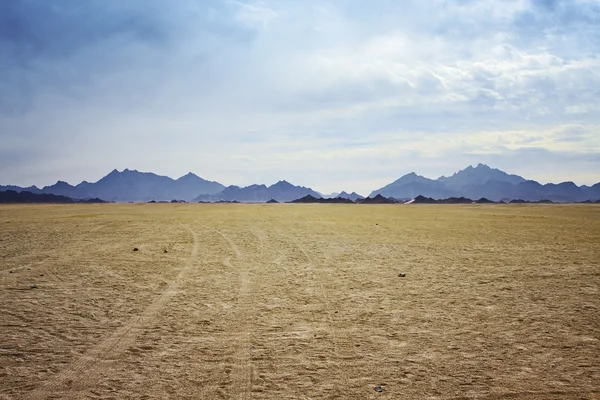 Sivatag — Stock Fotó