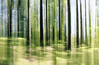 Forest vertical motion blur clipart