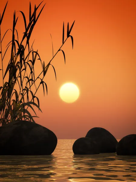 Océano puesta de sol de bambú y piedras — Foto de Stock