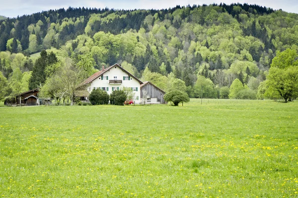 Lonely house — Stock Photo, Image