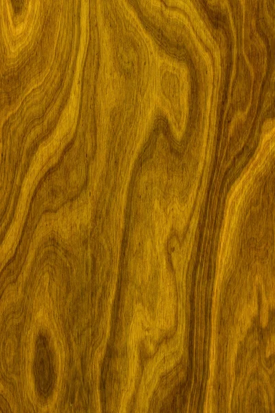 Goldene Holzstruktur — Stockfoto