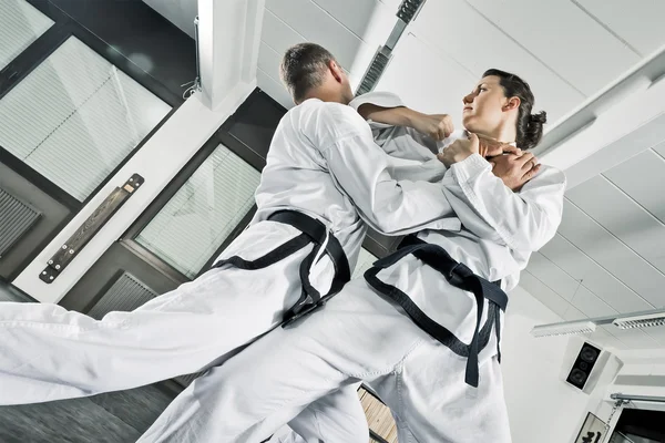 stock image Martial arts fighters