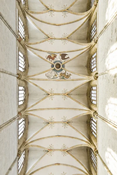 Ulm kilise — Stok fotoğraf