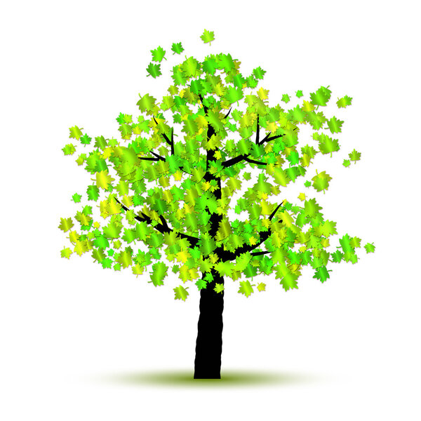 An image of a nice green tree
