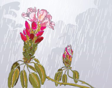 Azalea clipart