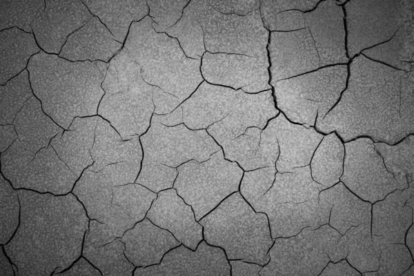 stock image Cracked Ground