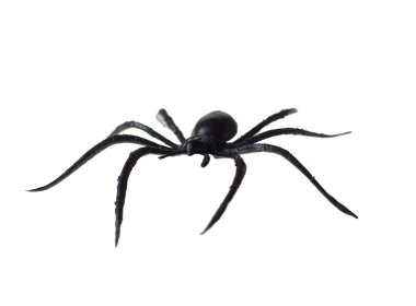 Toy Spider clipart