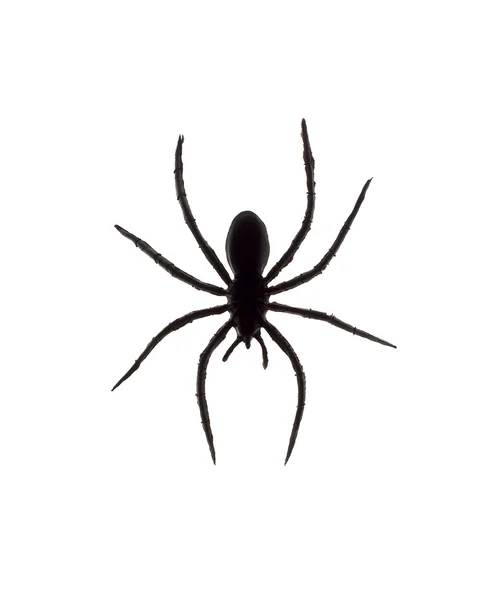 stock image Toy Spider