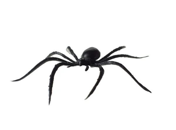 Игрушечный паук — стоковое фото