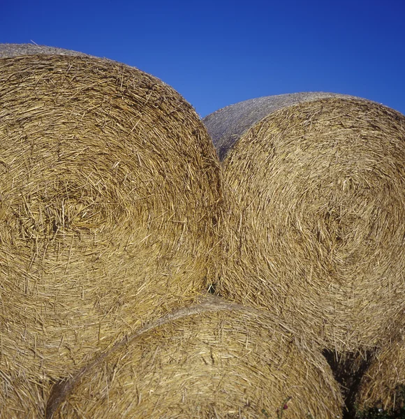 Bales of Hay — Stock Photo, Image
