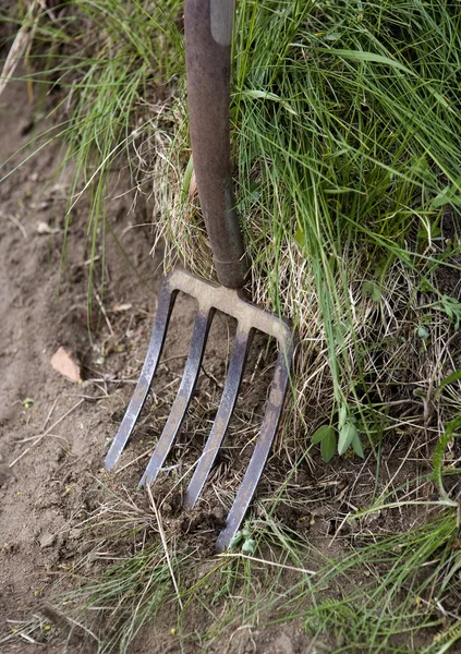 Trädgårdsarbete gaffel — Stockfoto