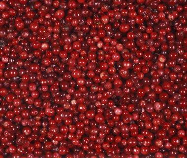 Lingonberries clipart