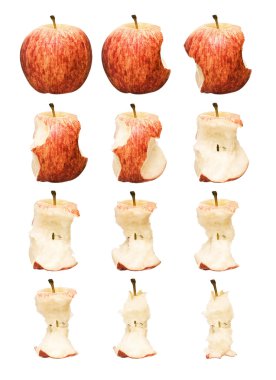 Red Apple Time Lapse clipart