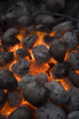 Barbecue Coal clipart