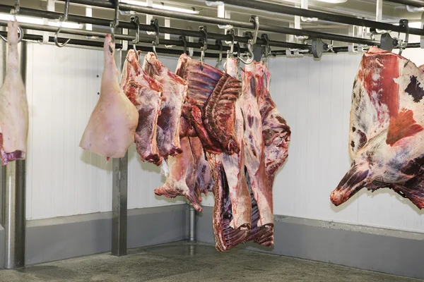 Carne appesa — Foto Stock