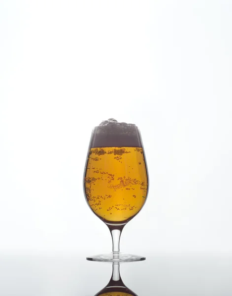 stock image Glass of Beer