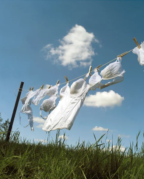 Ženské spodní prádlo — Stock fotografie