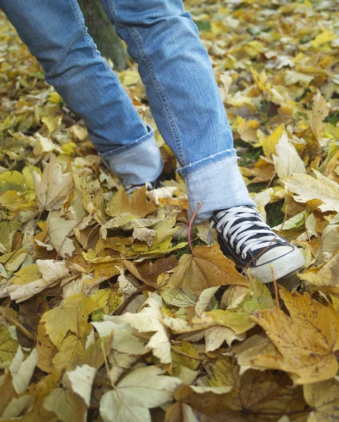 Marcher dans les feuilles d'automne — Photo