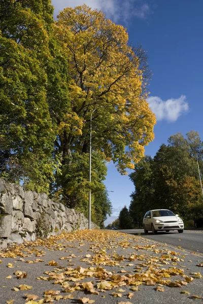 Auto in de herfst — Stockfoto