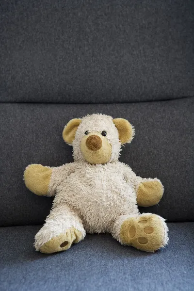 Teddybear — Foto Stock