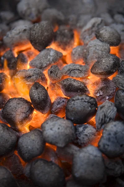 烧烤煤 — 图库照片