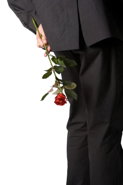 Con in mano una rosa rossa — Foto Stock