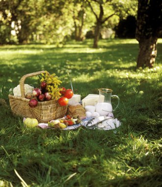 Picnic clipart