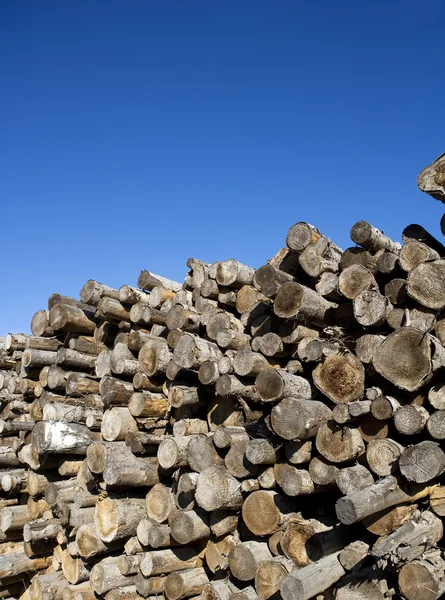 Timber — Stock Photo, Image