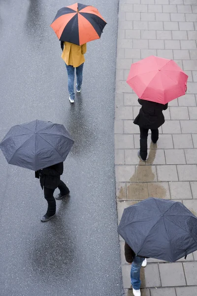 Avec parapluies — Photo