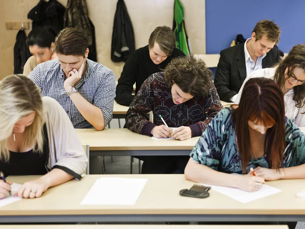 Young Adults studying — Stock Photo, Image