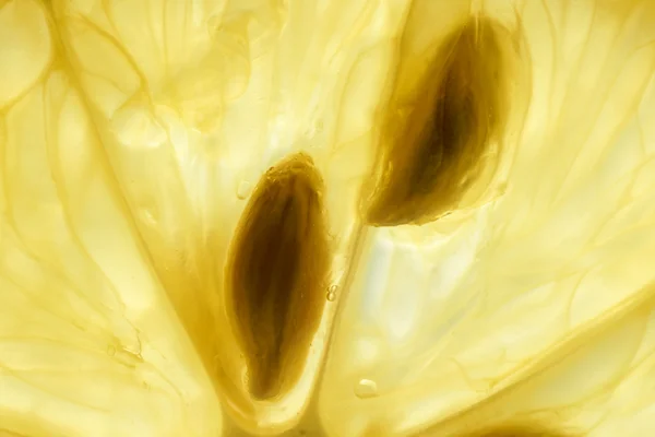 Makro einer Zitronenscheibe — Stockfoto