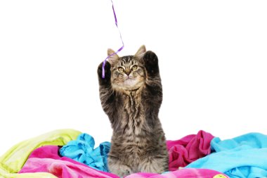 Kitten catching a string clipart