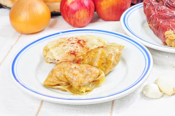 stock image Traditional lenten fare from the Balkans - sarma