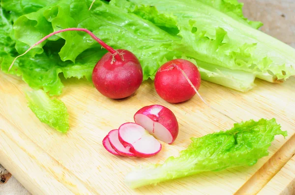 Saláta, retek — Stock Fotó