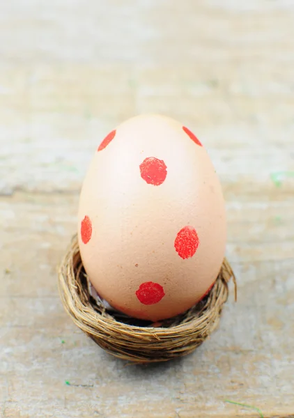 Dotted easter egg in nest — Stock Photo, Image