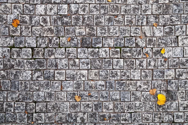 Kopfsteinpflaster Hintergrund Muster — Stockfoto