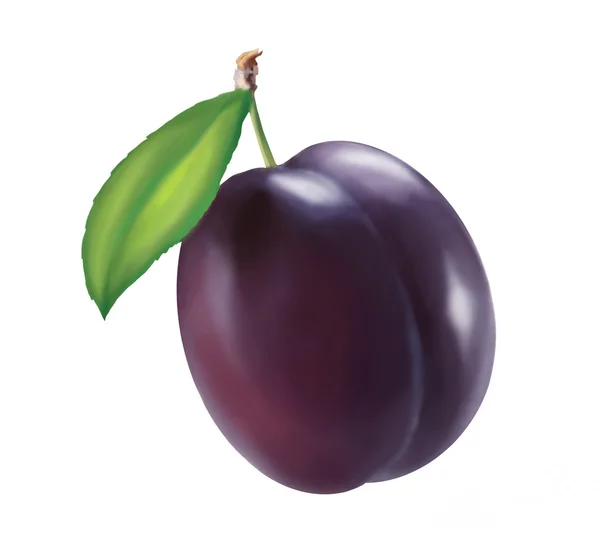 Plum — Stok Foto