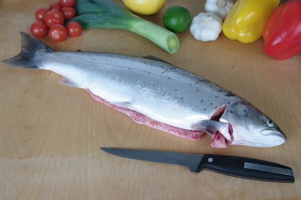 Gros saumon — Photo