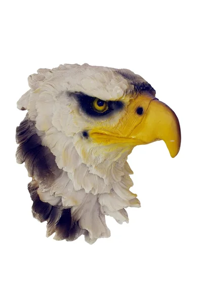 Eagle's head — Stock Photo, Image